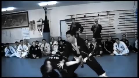 Hapkido