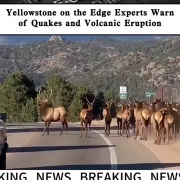 Yellowstone on the Edge! Experts Warn of Quakes & Eruption