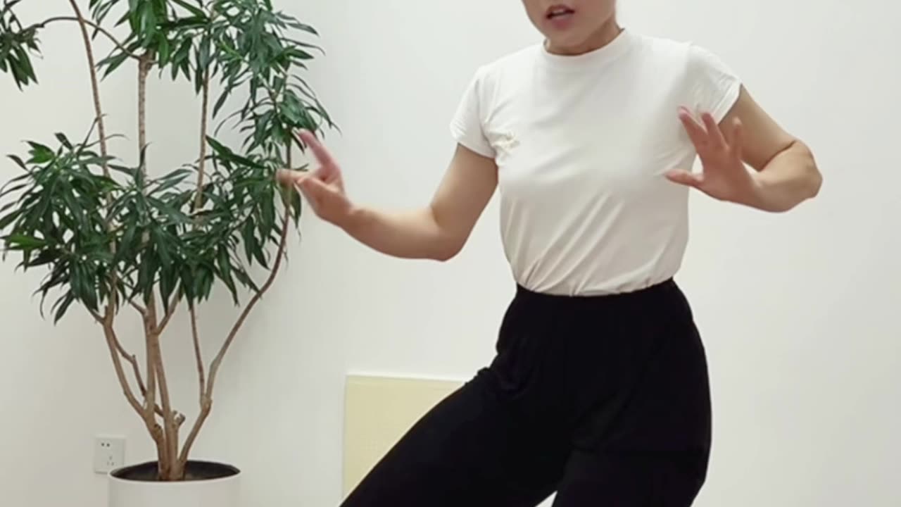 976.樁功怎麼練能藉大地力
