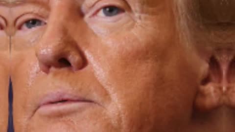 Trump Meeting South African Leader