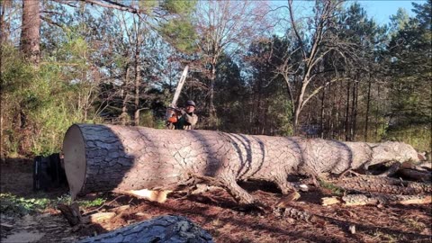 Amigos Tree Removal, Excavating and General Construction
