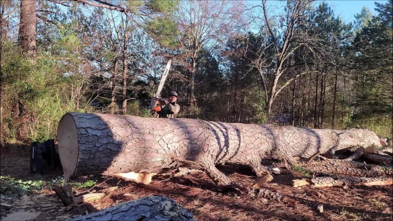 Amigos Tree Removal, Excavating and General Construction