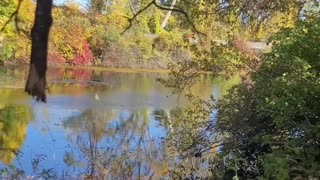 Psalm 75. do not deal boastfully , God is Judge