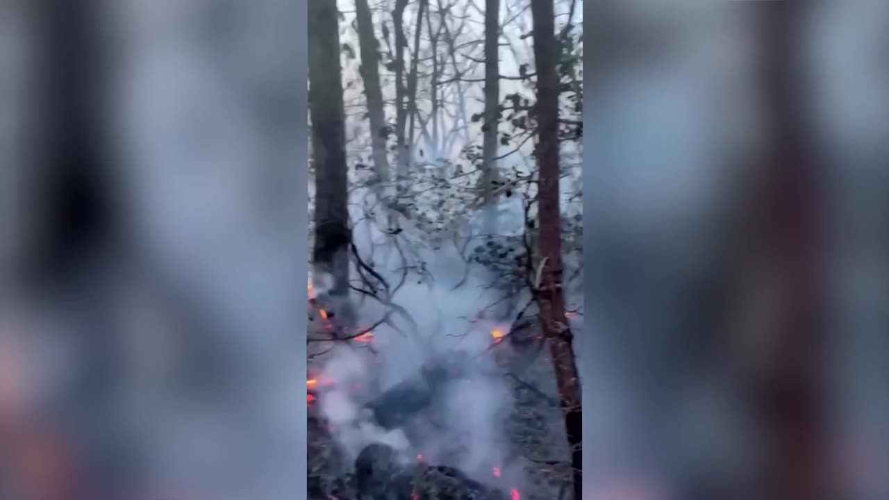 Multiple wildfires in North Carolina's Polk County: forest service