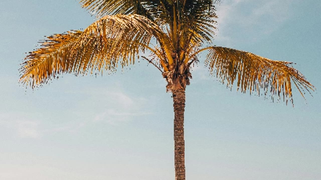 Undress [Instrumental]