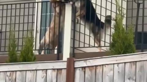 Lovers Separated