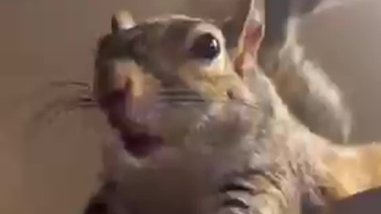 bro felt love for the first time | funny clip | crazy clips