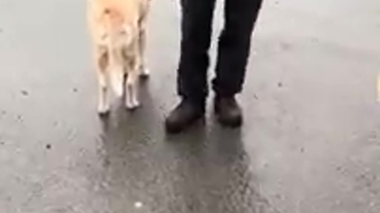 ‼️Bustin Vs. ANTIFA at Pierre Poilievre Rally in Fredericton New Brunswick, Crazy tranny NPCs demons morphing right before your eyes. Masked tyranny's on the loose all over New Brunswick. tyranny fascist mob threaten violence