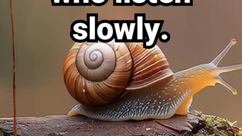 Raindrops sing to those who listen slowly #rainymeditation #peacefulmusic #relaxingsounds