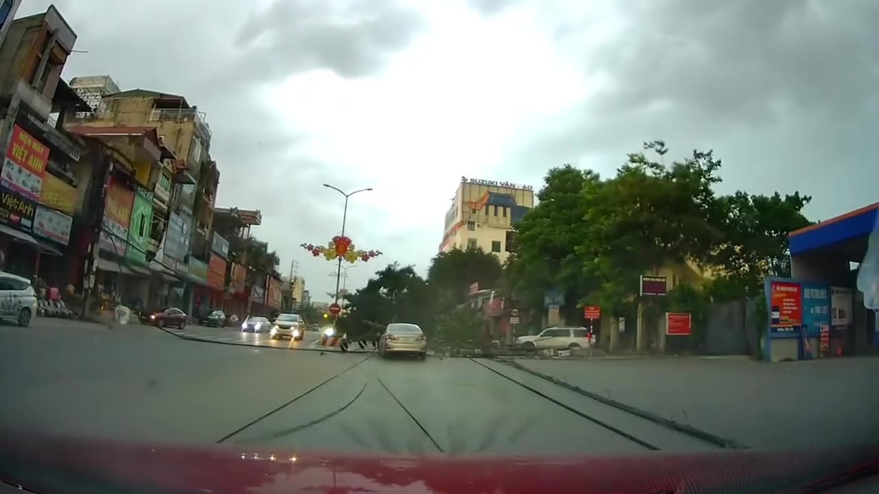 Fallen Trees and Power Poles Blocking the Road Due to Typhoon Wipha