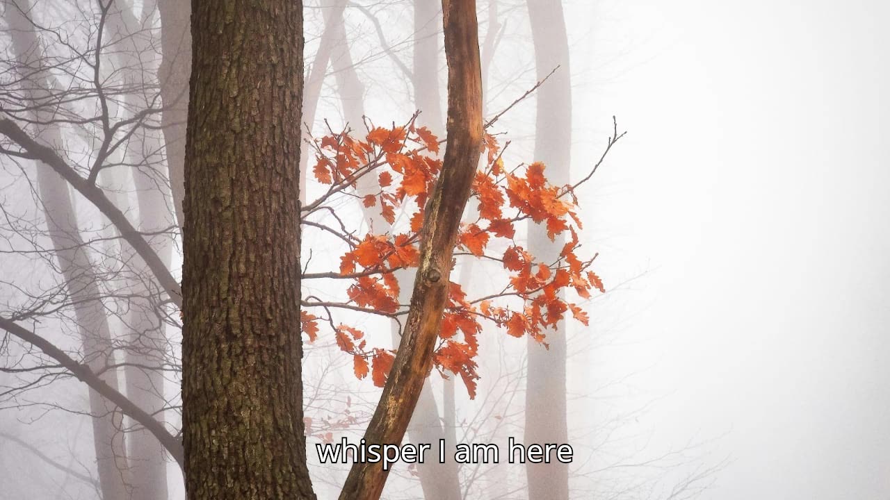 FAITH SONG V2
