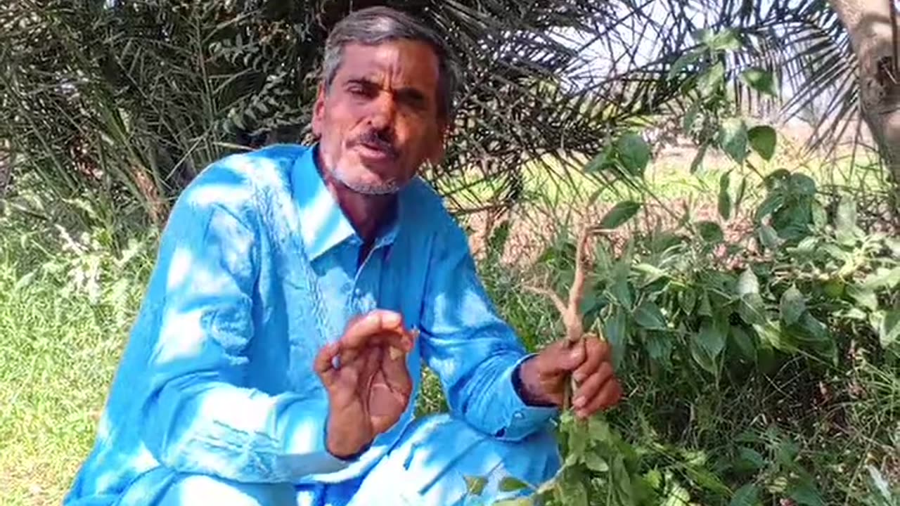7 horse power for men asghand nagori