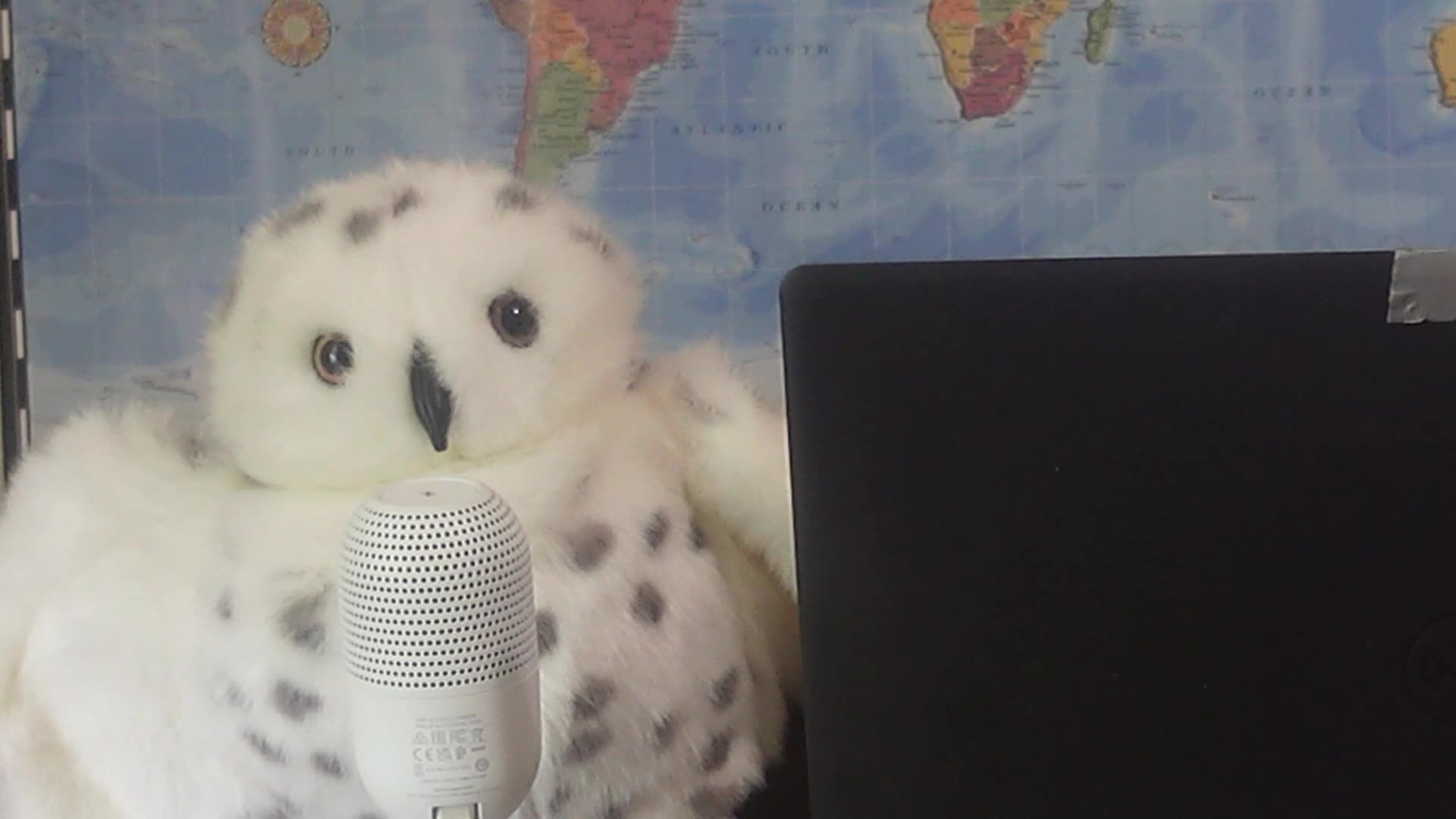 Mark Carneys Climate Economy Doomed To Fail