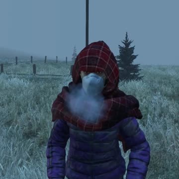 I Met A Weirdo In DayZ
