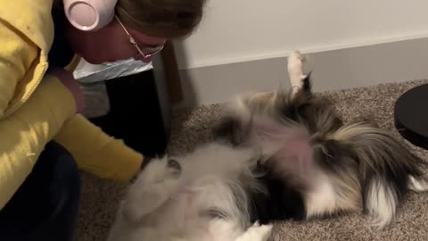 Lyla Demands Belly Rubs From Mommy Because Daddy Ignored Her