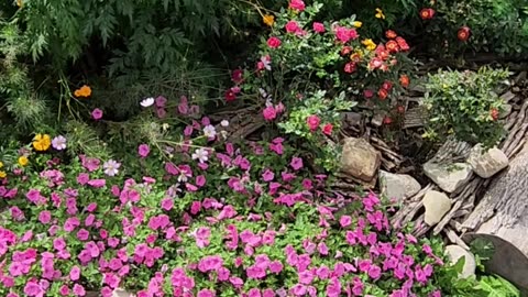 Pleasant, East side of the Zone 13 Wildflower Area