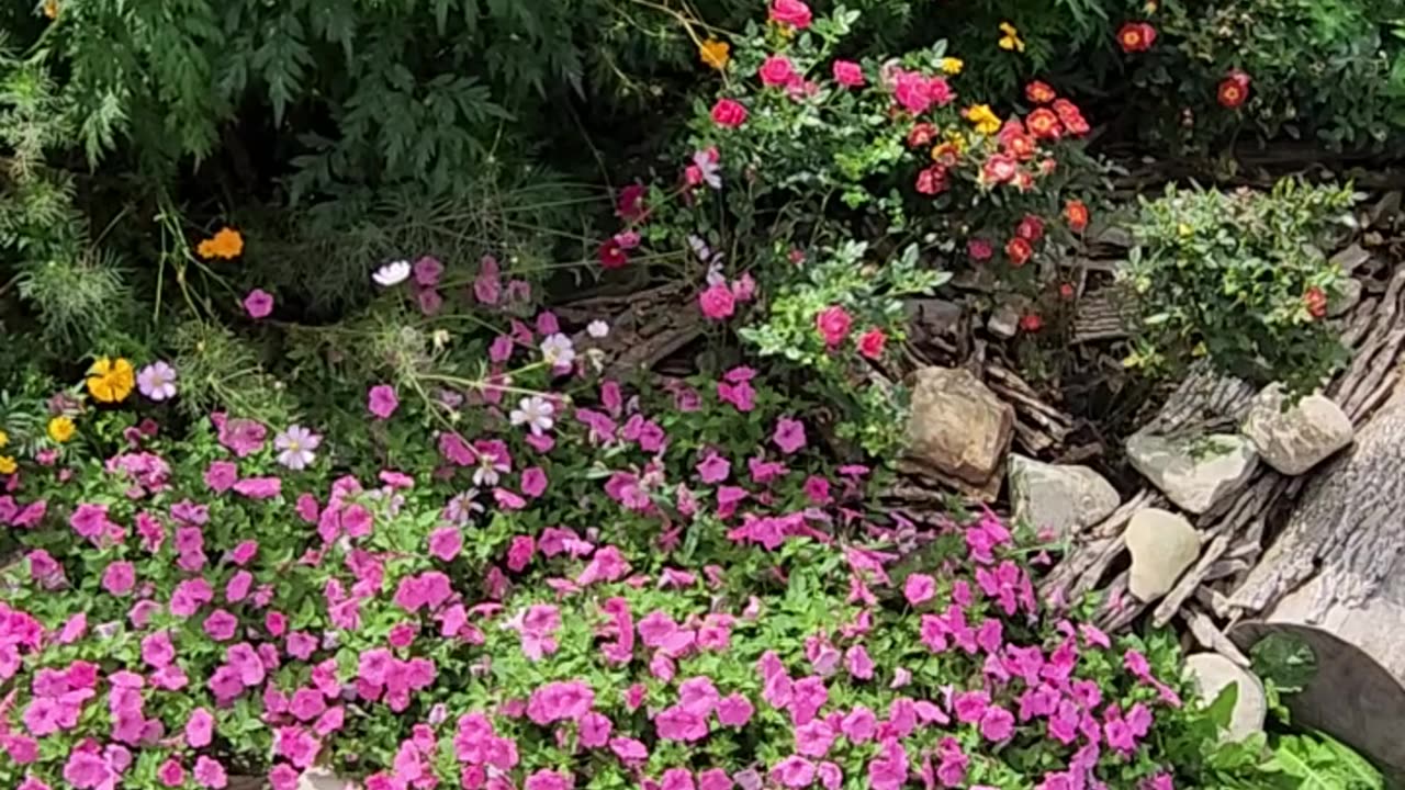 Pleasant, East side of the Zone 13 Wildflower Area