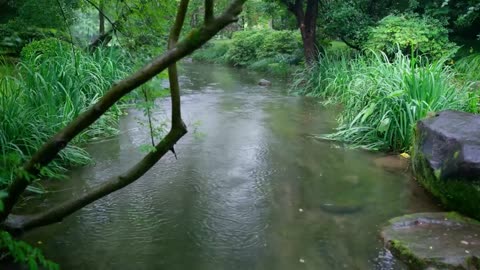 The beautiful little river is raining