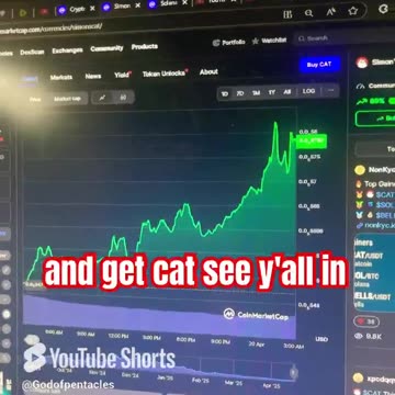 Simons cat crypto price prediction btc crypto news today #fyp
