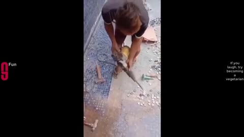 Funny video