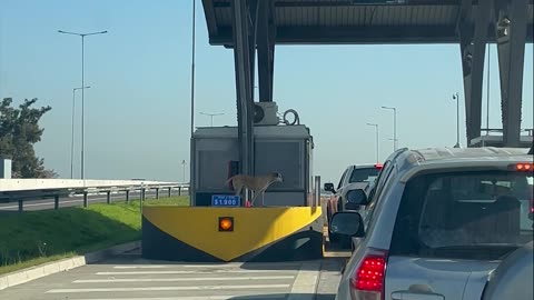 Quillota Double Toll, Better Cooperate