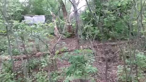 Russian special forces in the forests near Izyum.
