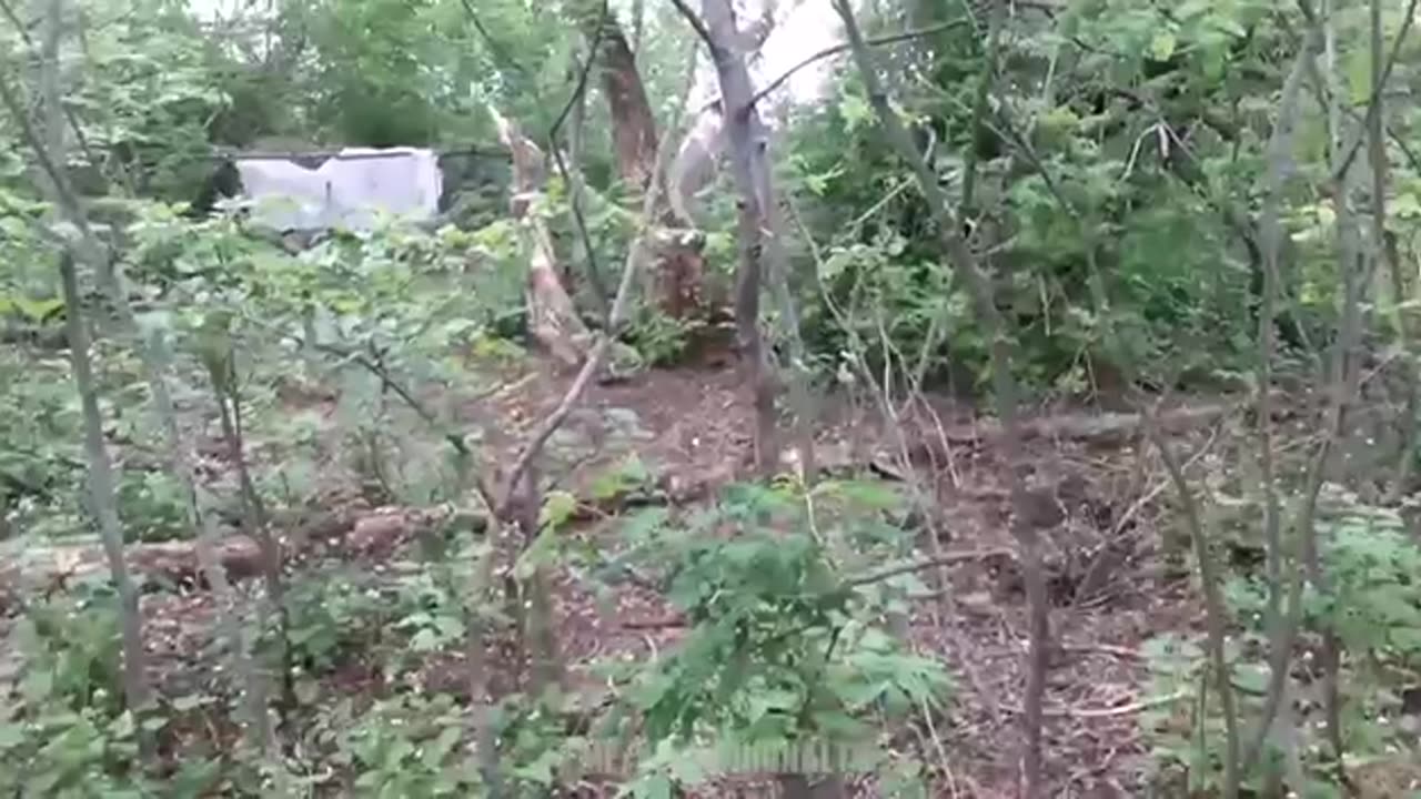 Russian special forces in the forests near Izyum.