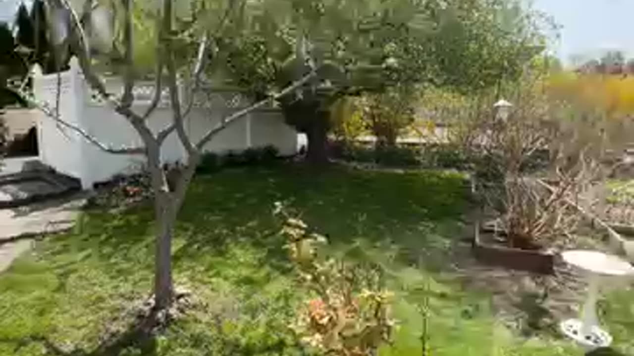 Happy Easter, stress relief tips, nature, God, sun