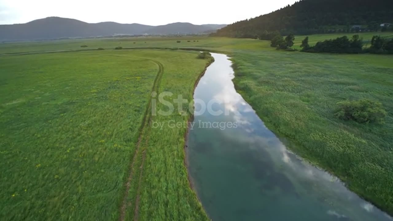 All videos