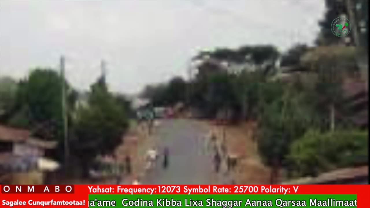 Oduu Ganama ONM-ABO Ebla 6-2025 itti dhiyaadhaa!