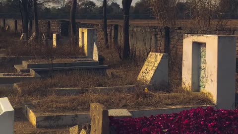 Jugnu Zindagi aur maa