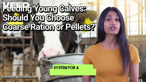 Coarse Ration VS Pellets:Calf Nutrition Secrets