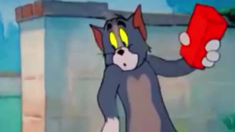 funny video funny videos new funny video tiktok funny video bangla funny video animal funny video