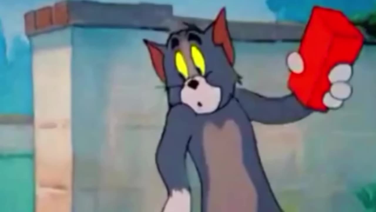 funny video funny videos new funny video tiktok funny video bangla funny video animal funny video