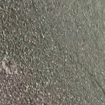 Shaniqua pulls gun on white man........ instantly regrets it