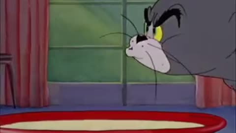 Tom and jreey best classic cartoon video 2025