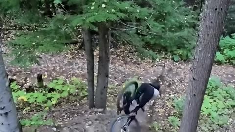 😂 Hilarious Funny Moments Caught on Camera 2025