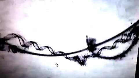 NANOBOTS FOUND IN SPERM 2 YEARS AFTER VAXX