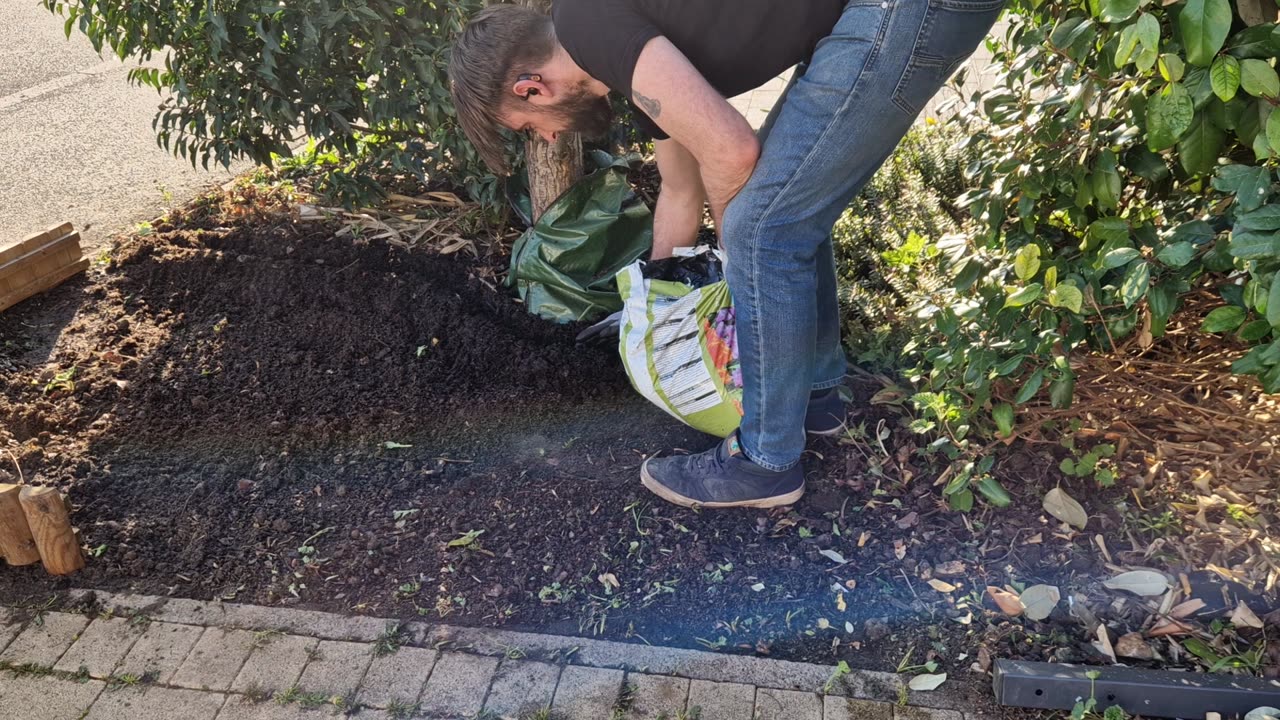 Planting peas with the kids UK grow experiment