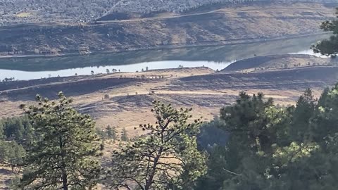 Best View in the Park