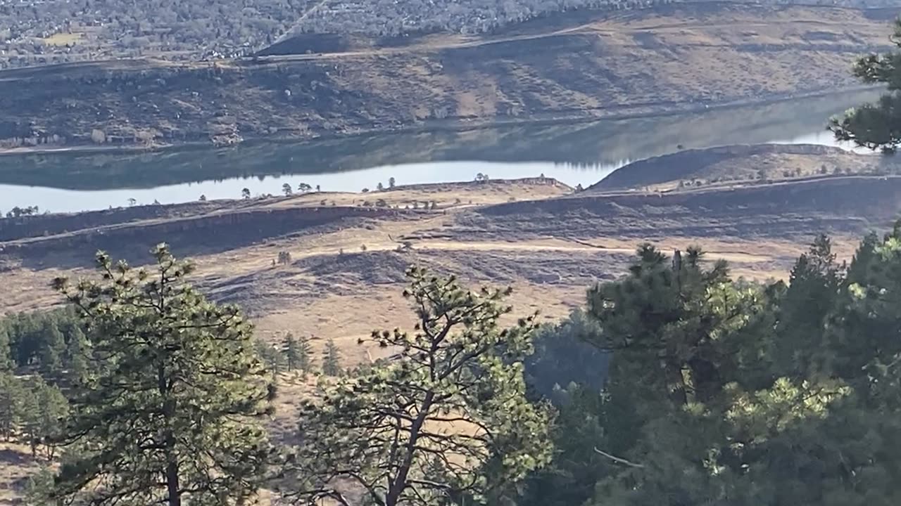 Best View in the Park