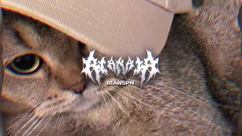 JJ CAPCUT