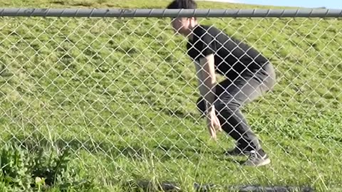 funny videos