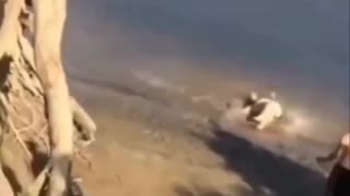 Comedy funny video 🤣🤣