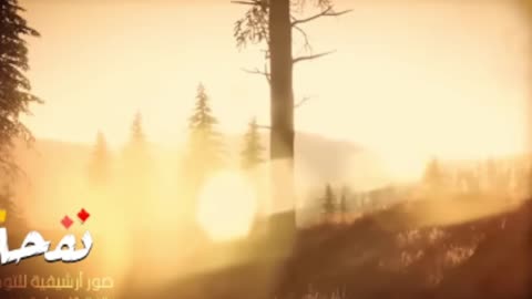 قصص الانبياء _ من هم أهل الرميم العمالقة الذين ذكروا في القرآن الكريم وأول من سكن الارض من نسل نوح ؟