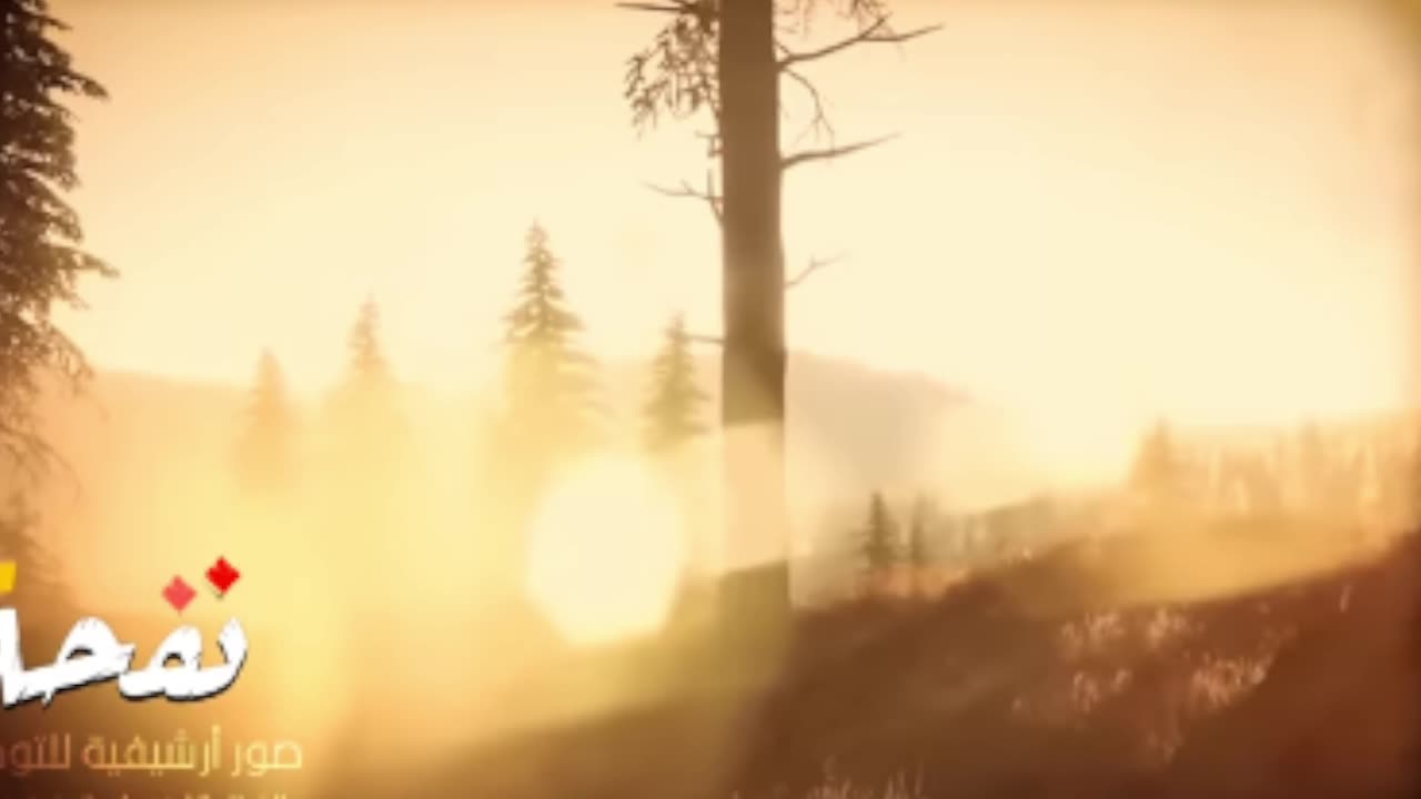 قصص الانبياء _ من هم أهل الرميم العمالقة الذين ذكروا في القرآن الكريم وأول من سكن الارض من نسل نوح ؟