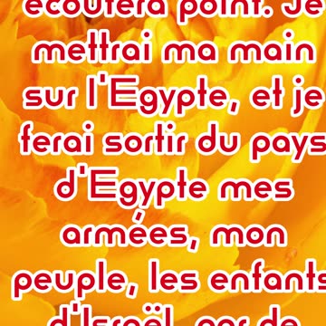 "Le Cœur Endurci de Pharaon et les Jugements de Dieu" Exode 7:3,4 #shorts #youtubeshorts #ytshorts