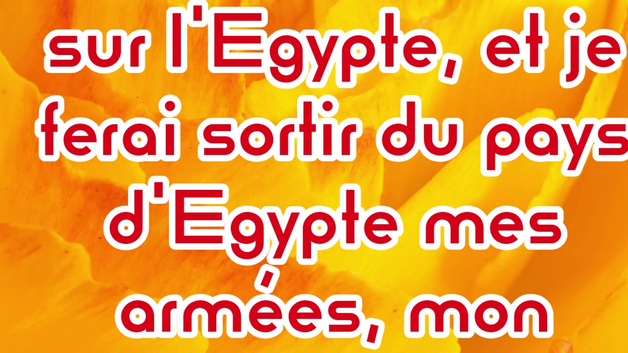 "Le Cœur Endurci de Pharaon et les Jugements de Dieu" Exode 7:3,4 #shorts #youtubeshorts #ytshorts