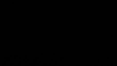 Look & Listen closely… Fireflies and Frogs