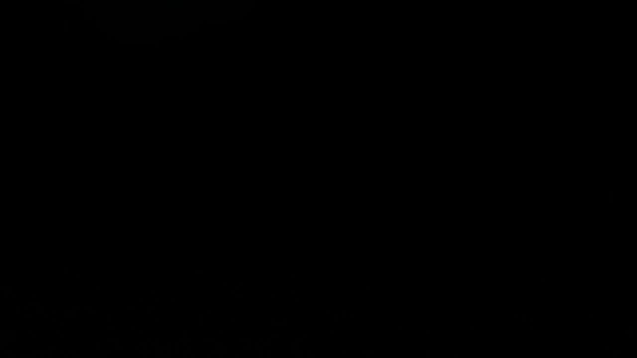 Look & Listen closely… Fireflies and Frogs